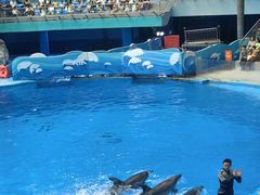 -海合安成都极地海洋公园