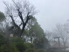-天目湖涵田半山温泉