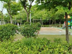-飞凤山奥体公园