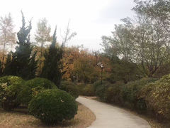 -大连东软信息学院(软件园校区)