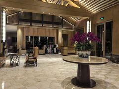 -浙江安吉JW万豪酒店·万豪中餐厅