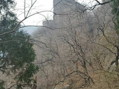 -北京鹫峰国家森林公园