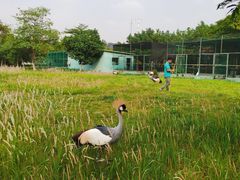 -东莞香市动物园