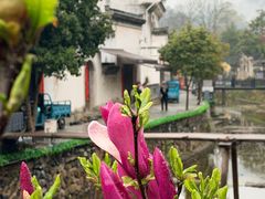 -绩溪龙川景区