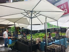 -瑞虹新天地月亮湾