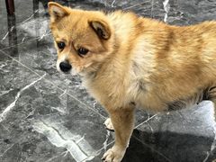 -途肴·老农饭庄(百里峡店)