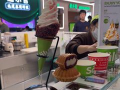 -Salud撒露欧洲冻酸奶(五道口购物中心店)