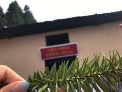 -井冈山风景名胜区