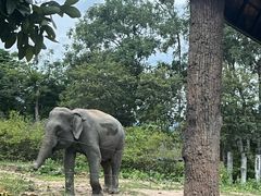 -清迈夜间动物园