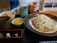 冷面-白川乡手打荞麦面