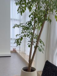 -JNK皮肤管理中心