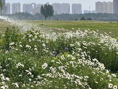 -汉长安城未央宫国家考古遗址公园