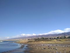-青海湖国家重点风景名胜区