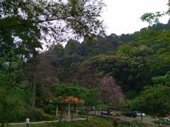 -火炉山森林公园