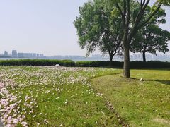 -苏州金鸡湖大酒店