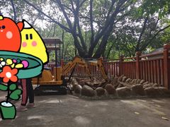 -晓港公园