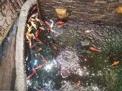 -汇景花园酒家(基立下道店)