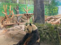 -灵玲国际马戏城