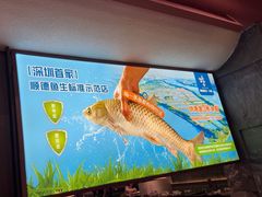-得意咚瓜·顺德鱼生·冬瓜盅火锅