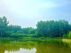 -仁和公园(顺义区)