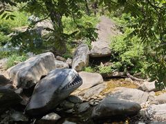-黑龙潭风景区
