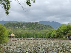 -星湖旅游景区七星岩