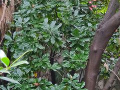 -敬亭山风景名胜区