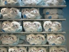 -首开·龙湖成都西宸天街