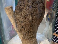 -上海昆虫博物馆