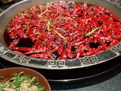 -渝大狮毛肚老火锅(普陀店)
