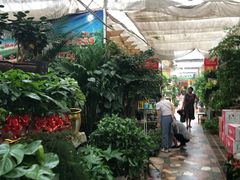 -秦美花卉(天朗·莱茵小城2期店)