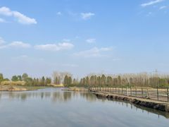 -溱湖国家湿地公园