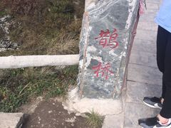 -牛背梁国家森林公园