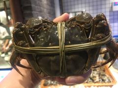 -二十八里太湖船菜(吉祥路店)