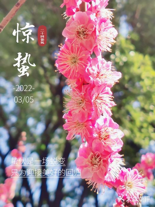 静安雕塑公园图片