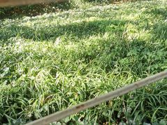 -杭州植物园