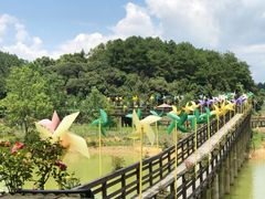 -千岛湖龙川湾
