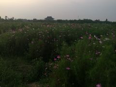-梁鸿国家湿地公园