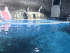 -秦皇岛新澳海底世界