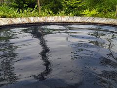 -中铁花水湾温泉酒店(大邑店)