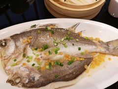豆豉蒸海鲈鱼-皇城根·烤鸭·鱼头·家常菜(欧亚大观乐活城店)