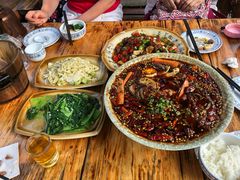 -青城甲(青城山店)