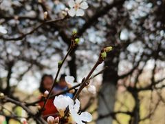 -白塘生态植物园