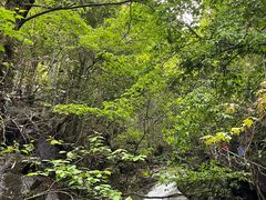 -藏龙百瀑风景区