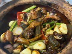 -天宝食坊·啫啫煲大排档(西华路店)