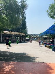 -大望京儿童游乐场