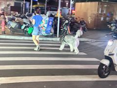 -黄沙码头