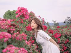 -紫颐香薰山谷景区