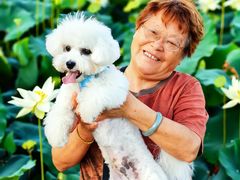 -翊宠yipet猫狗购宠庄园犬舍•猫舍