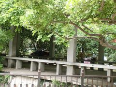 景点-郑和公园